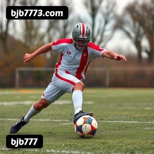 Níveis do programa VIP da bjb777